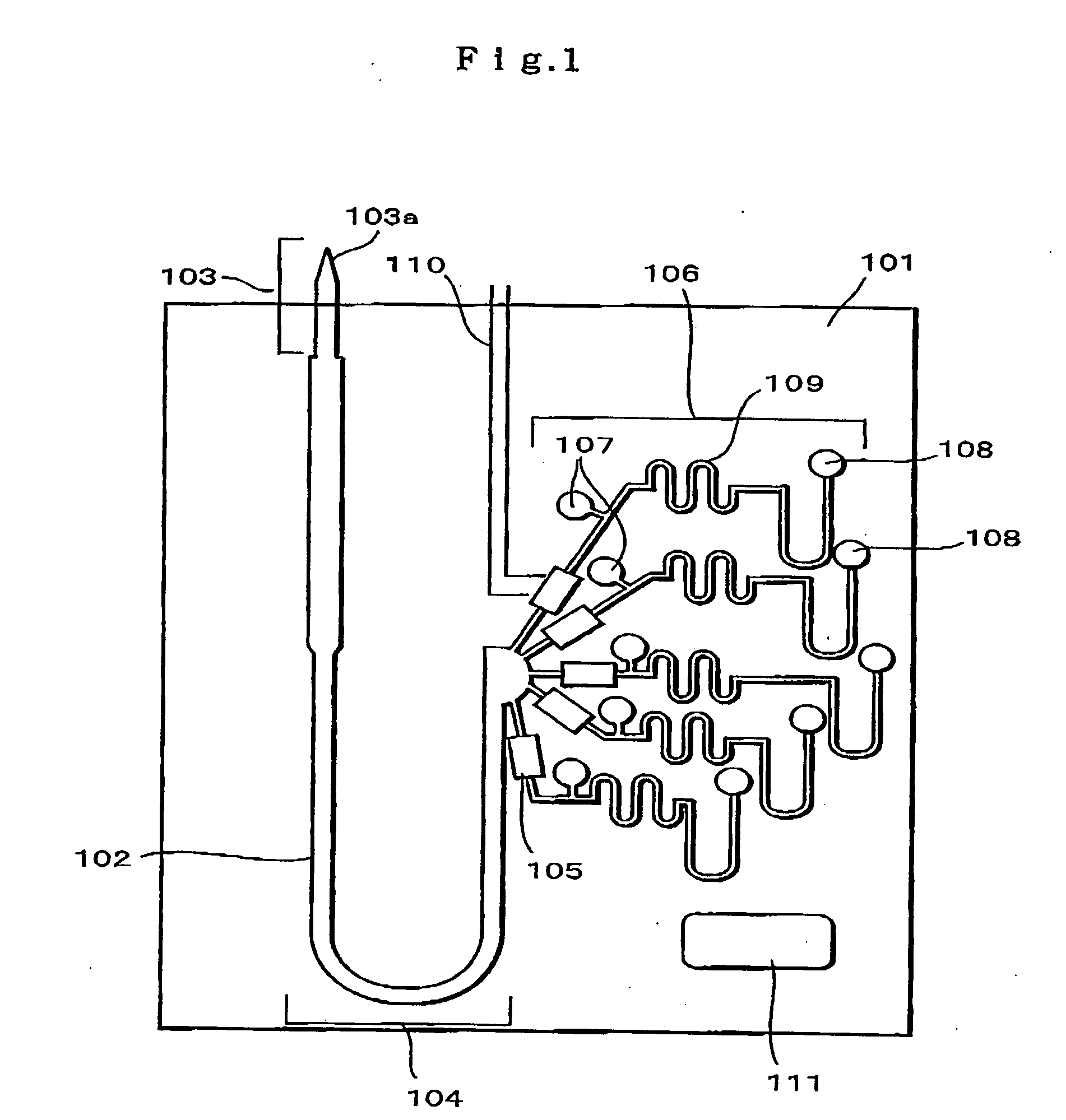 Blood Analysis Apparatus and Blood Analysis Method