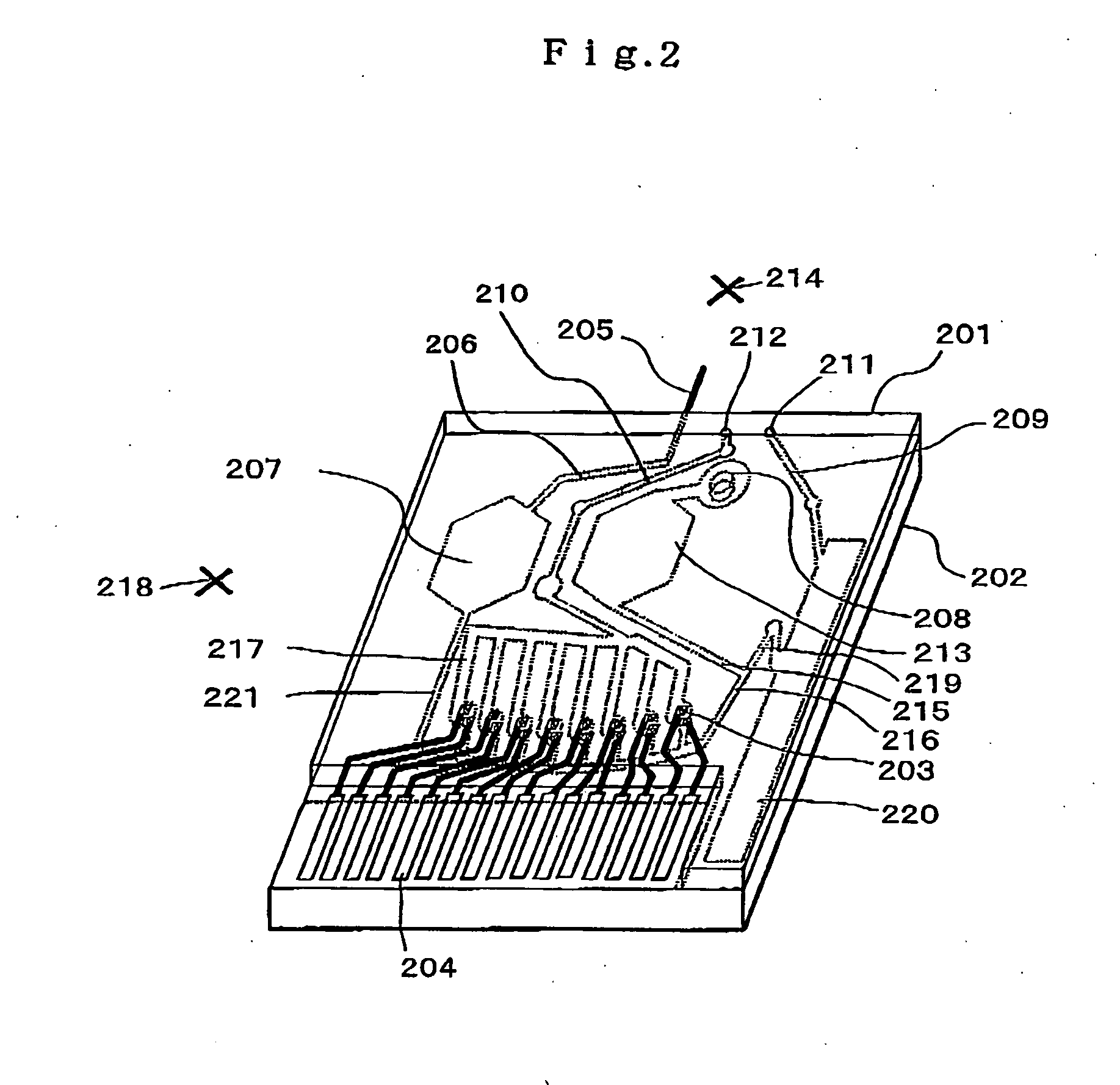 Blood Analysis Apparatus and Blood Analysis Method