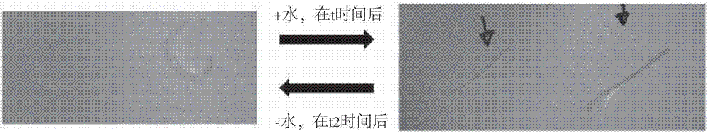 Composite fiber for inorganic binder applications