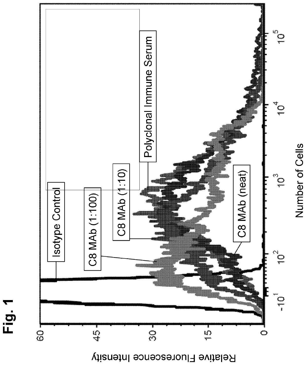 Antibody binding agents that bind <i>Acinetobactor </i>and uses thereof