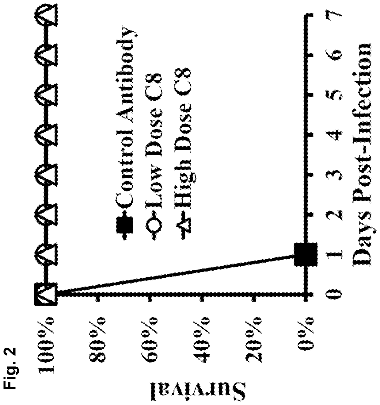 Antibody binding agents that bind <i>Acinetobactor </i>and uses thereof