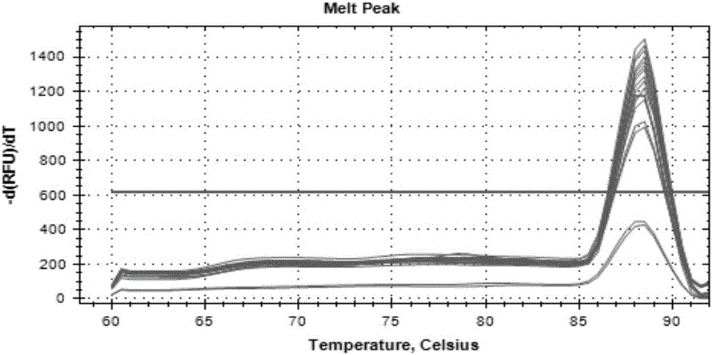 Method for detecting escherichia coli in coastal seawater