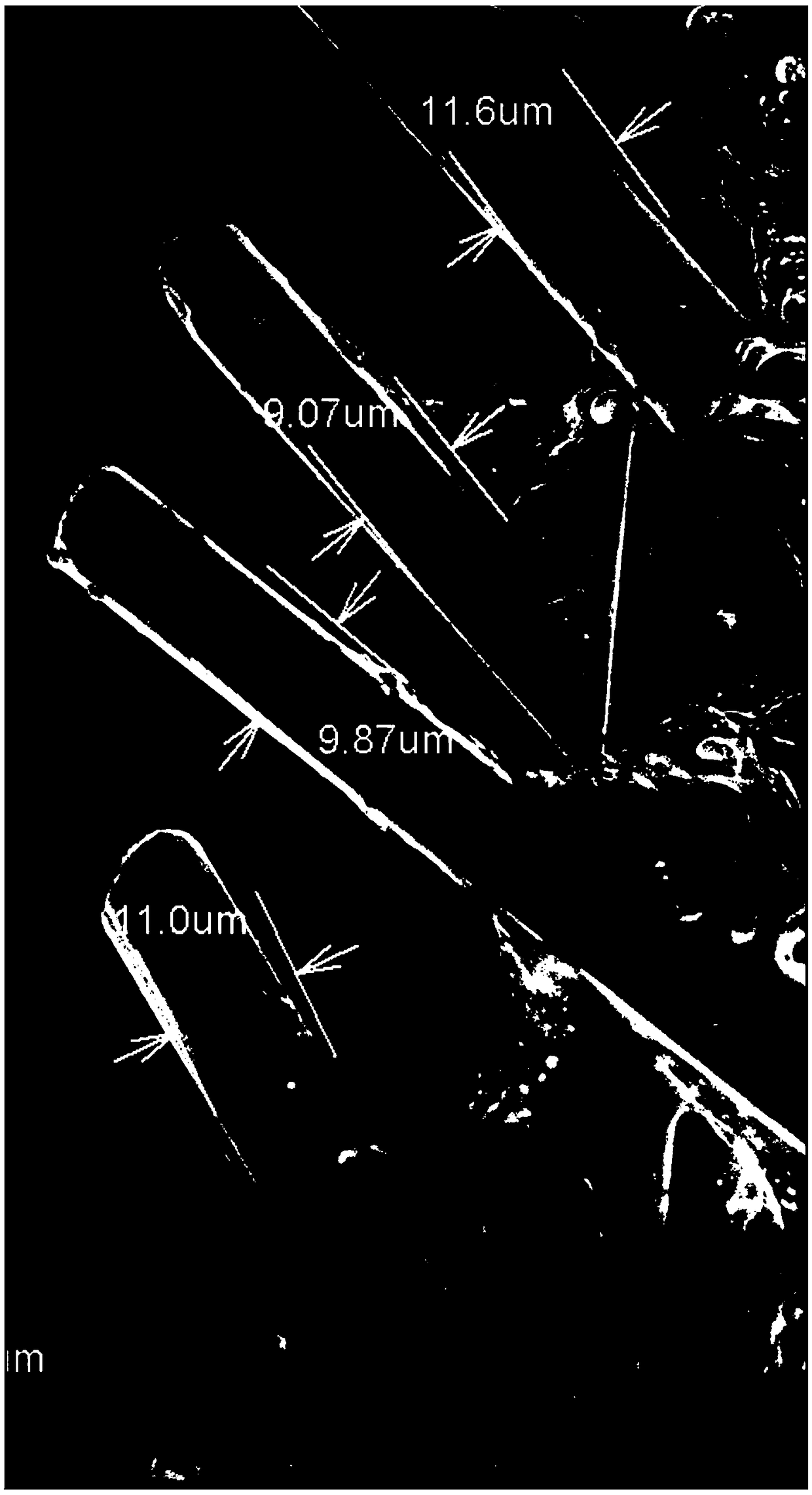 Flexible heat conduction sheet and preparation method thereof