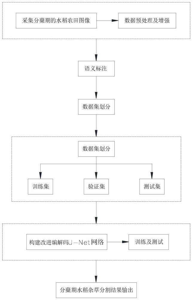 Rice tillering stage weed segmentation identification method based on improved coding and decoding network