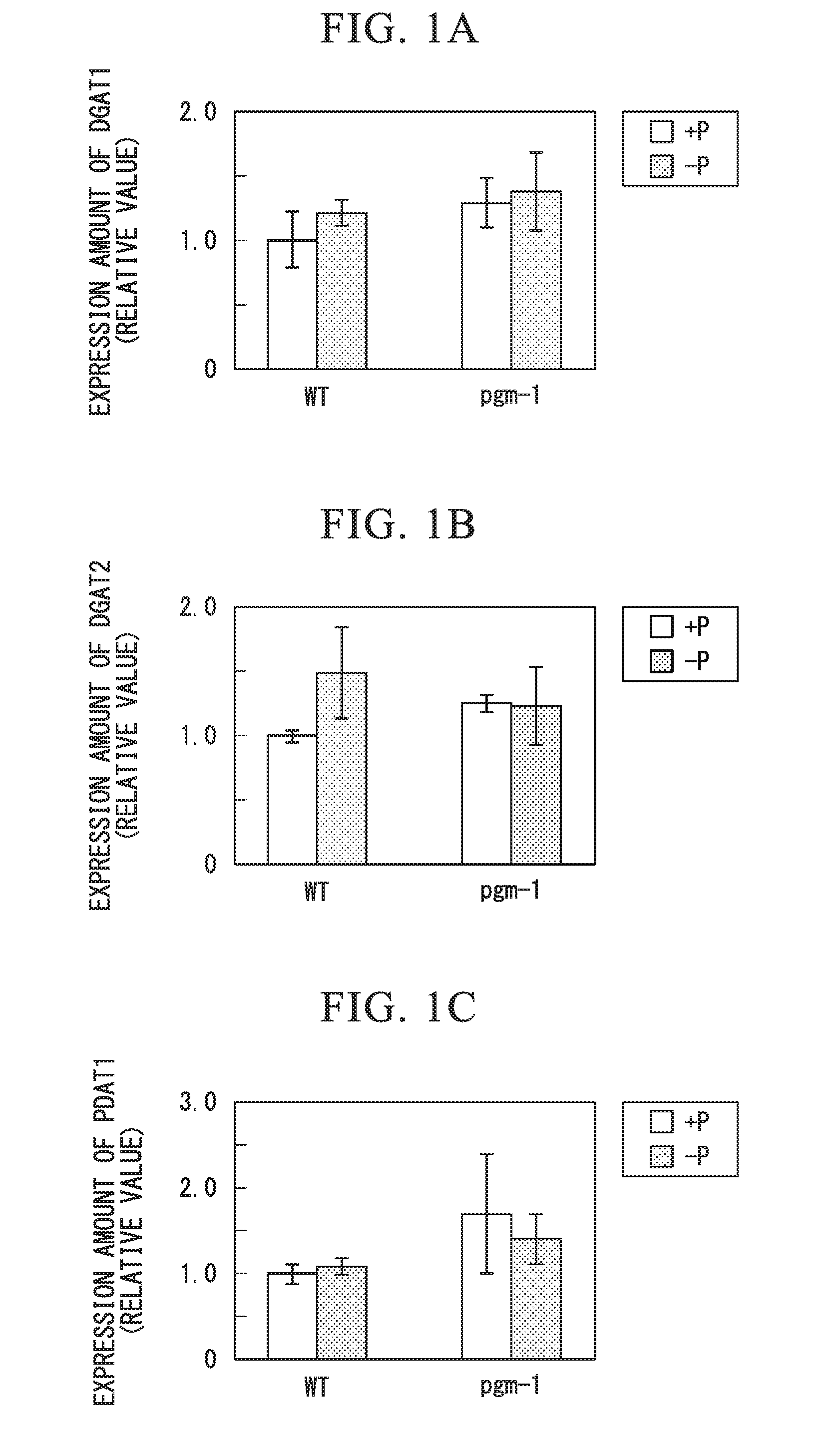 Fused gene, vector, transgenic plant, method for manufacturing vegetable fat or oil, method for constructing transgenic plant, and kit for constructing transgenic plant