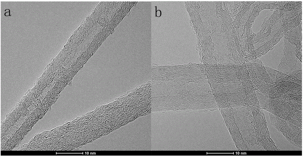 Lentinan-modified carbon nano-tube as well as preparation method and application thereof