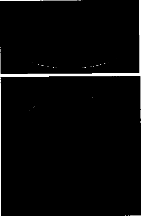 Method for improving domestication survival rate of distant-hybridization tissue cultured seedlings of cucumbers