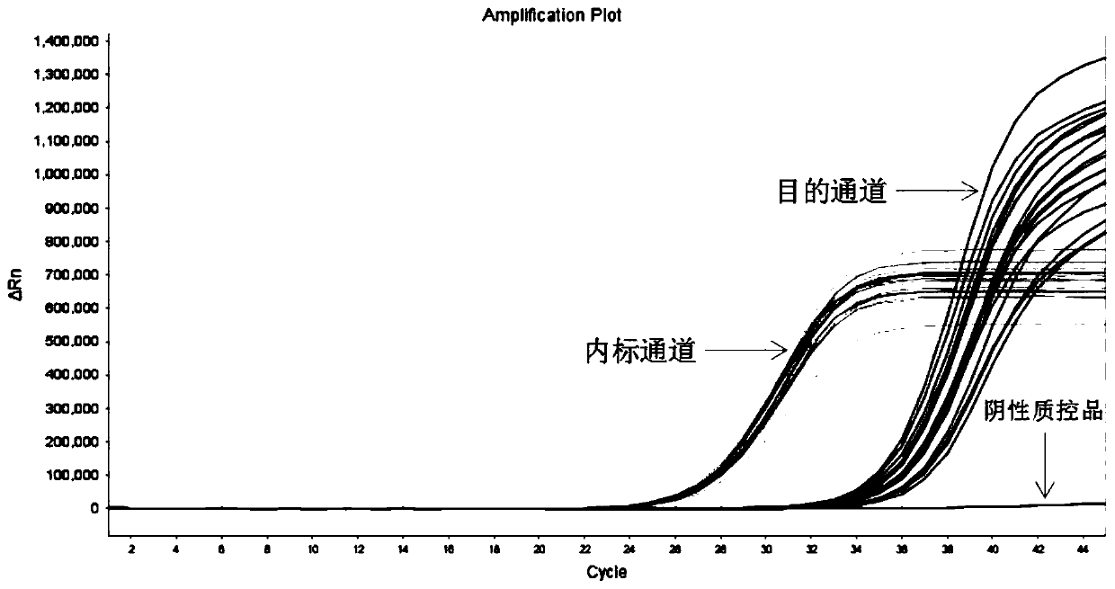 Multiplex detection kit for EGFR gene mutation