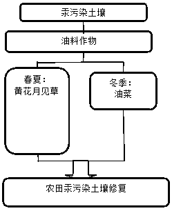 Method for safely utilizing mercury-contaminated soil