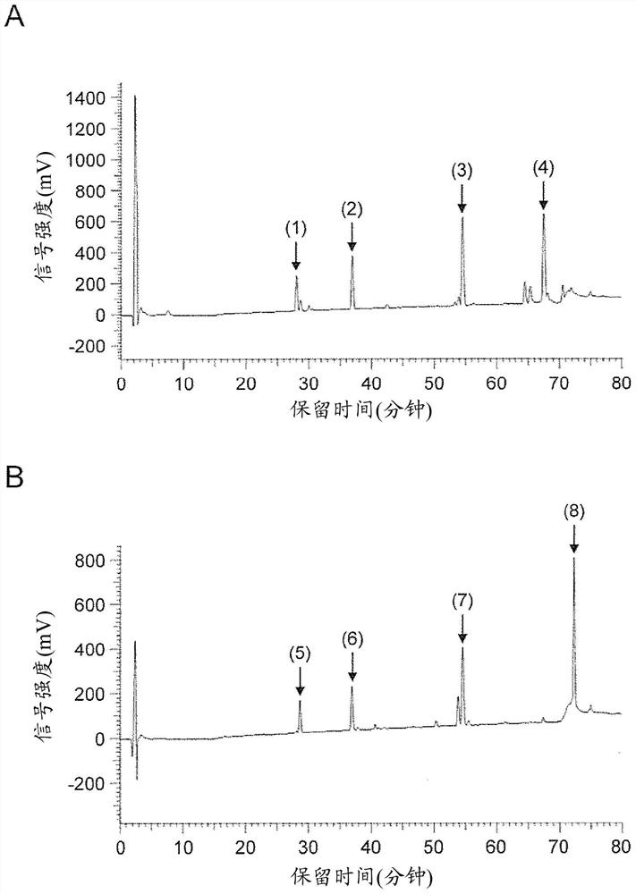 Long-acting adrenomedullin derivatives