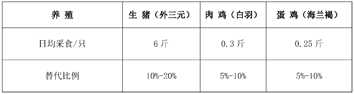 Production method and application of stalk fermentation feed