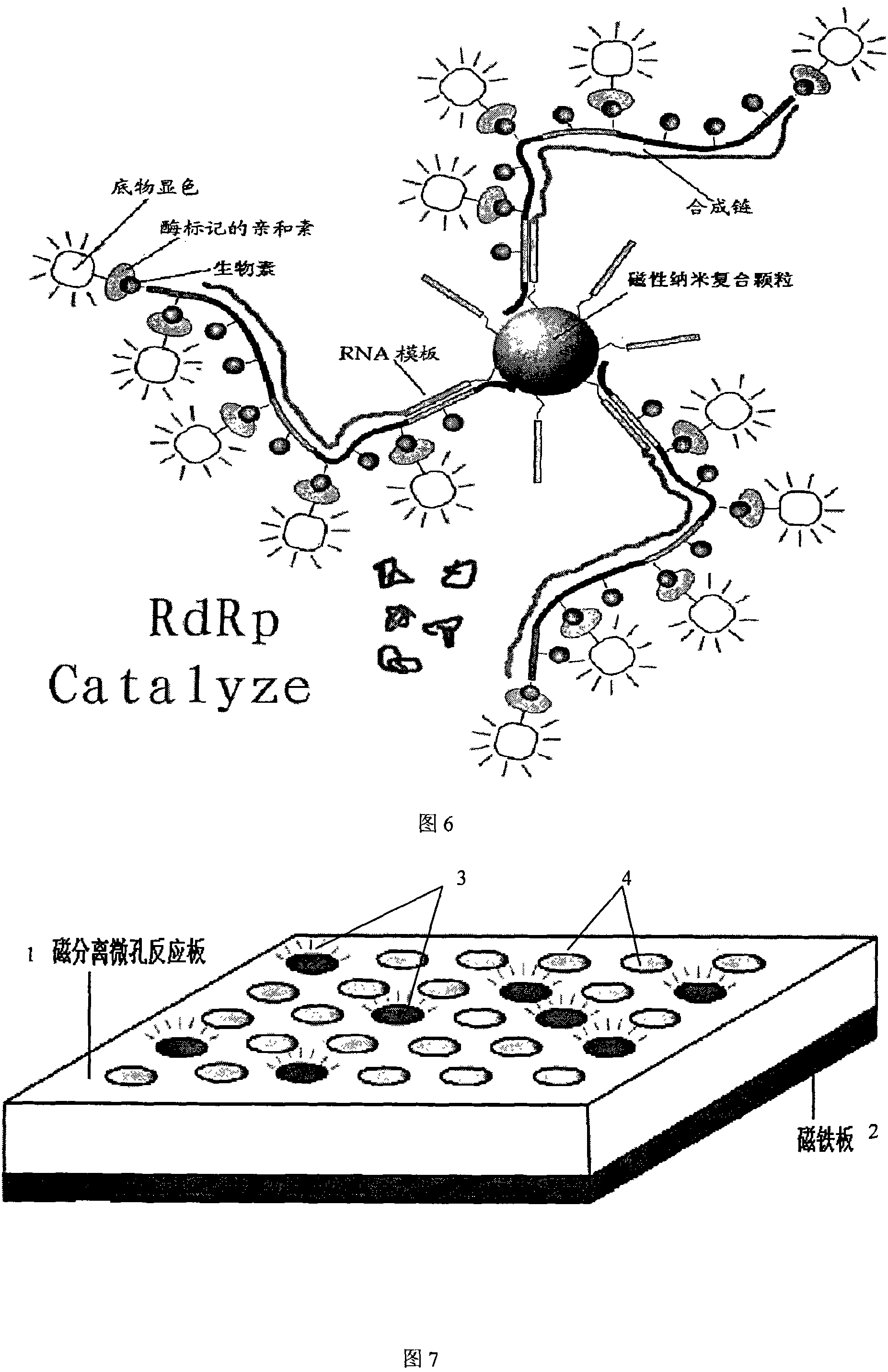 In vitro activity measuring method for hepatitis C virus RNA depending RNA polymerase and application thereof