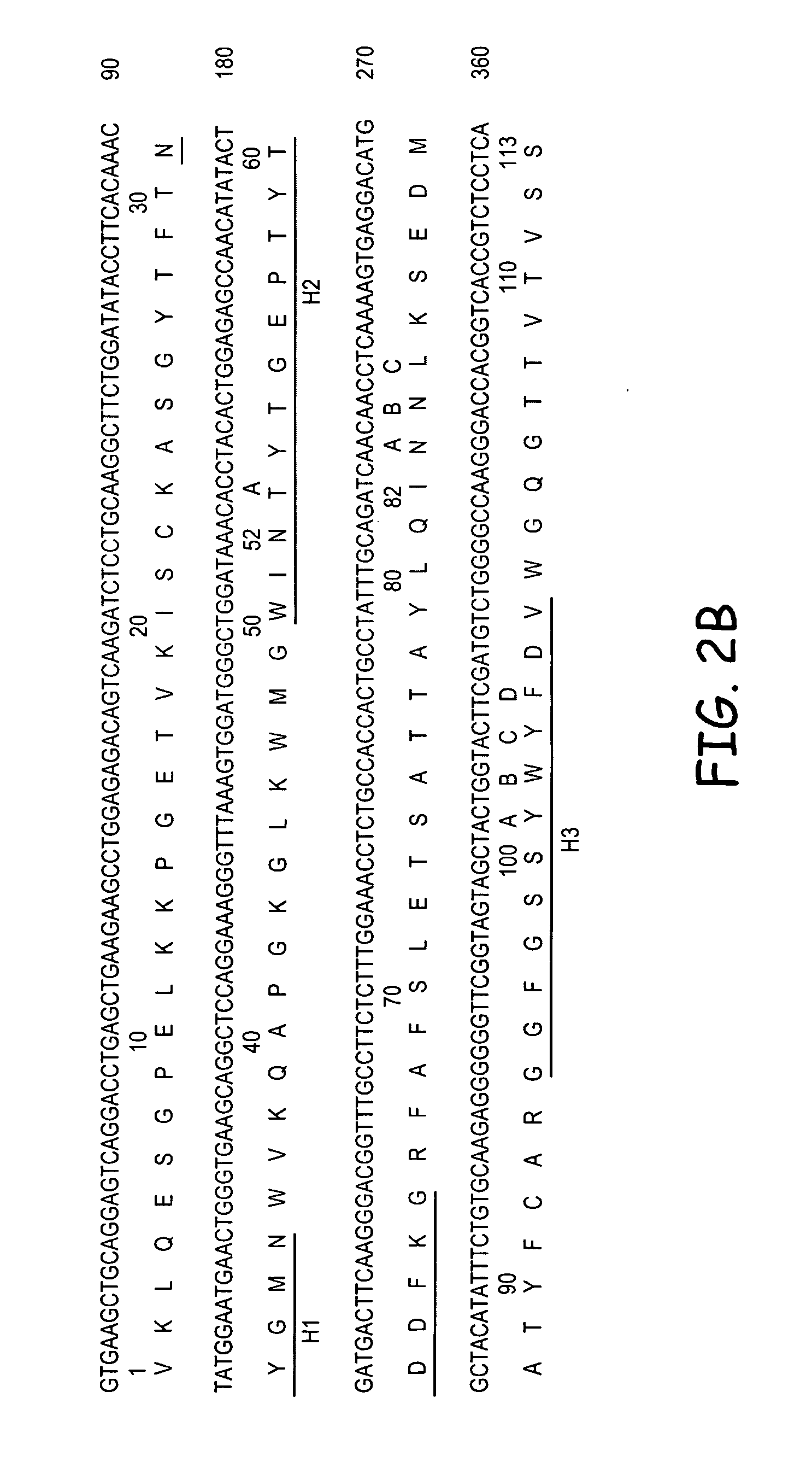 RS7 antibodies