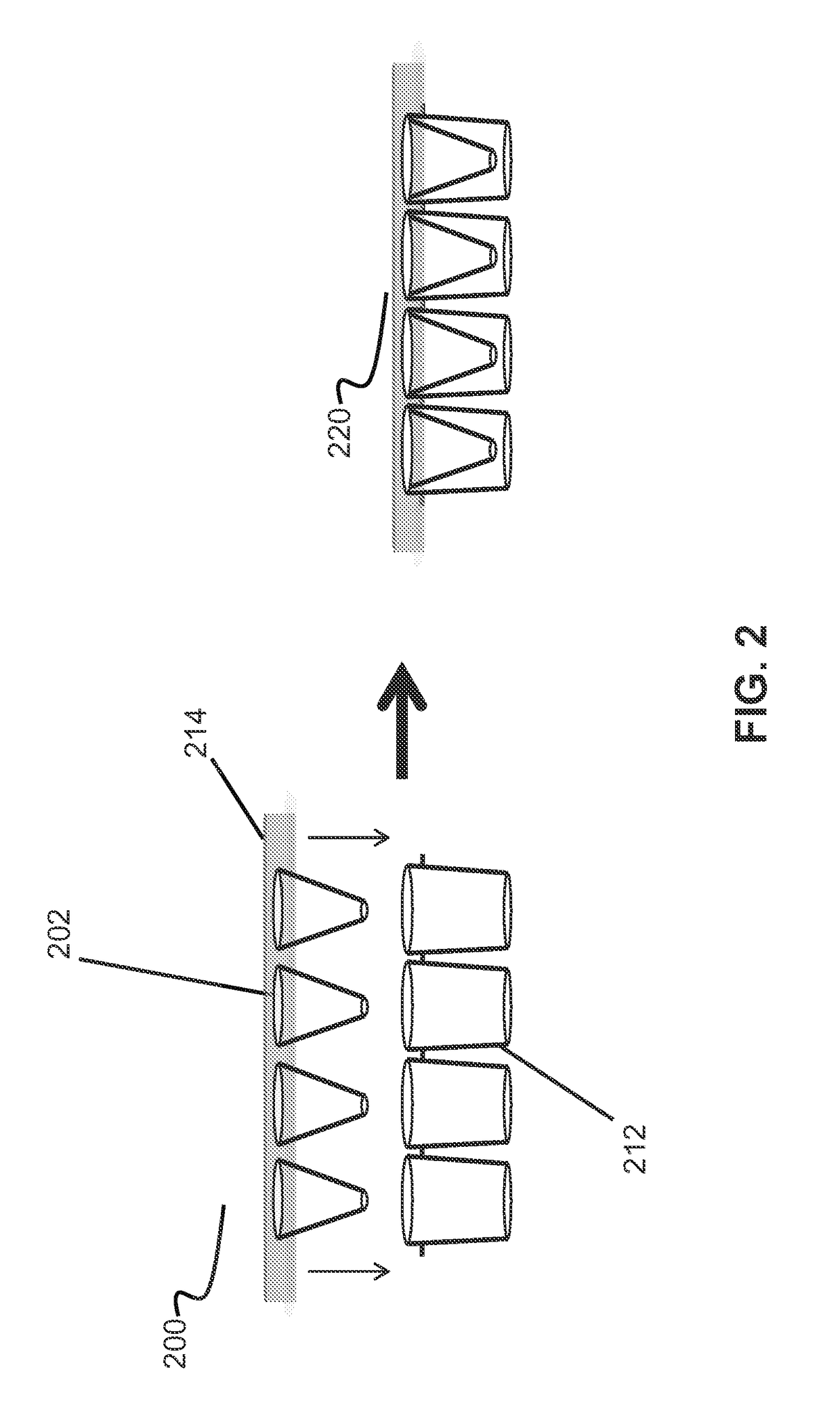 Conical devices for three-dimensional aggregate(s) of eukaryotic cells