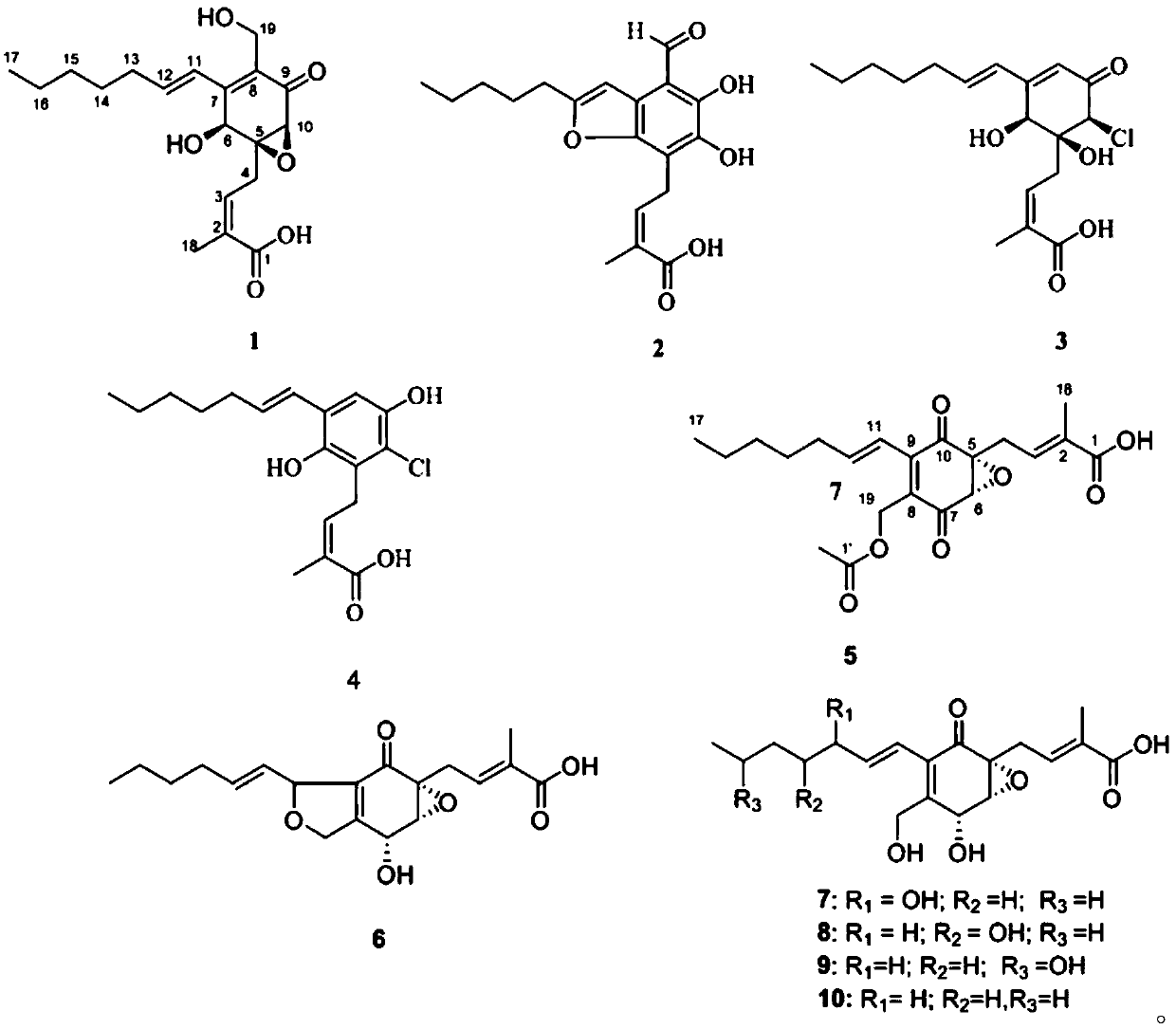 Pestalotic acid compounds with antibacterial activity and applications thereof