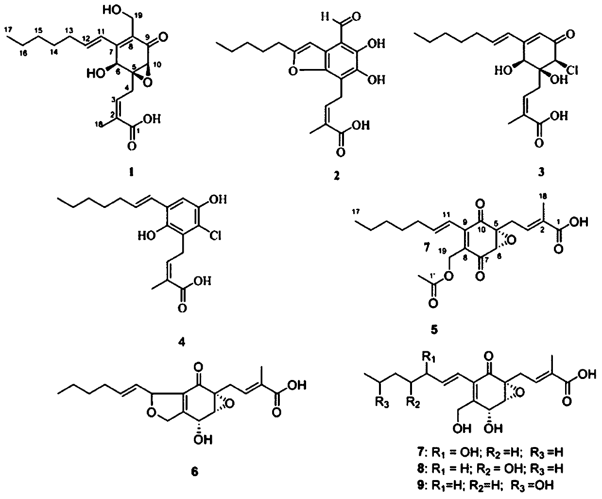 Pestalotic acid compounds with antibacterial activity and applications thereof