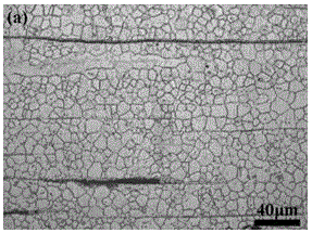 High-plasticity magnesium alloy and preparation method thereof