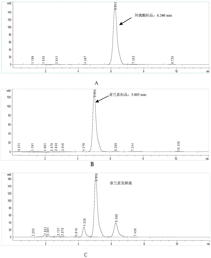 Usage of streptomyces psammoticus and vanillin production method