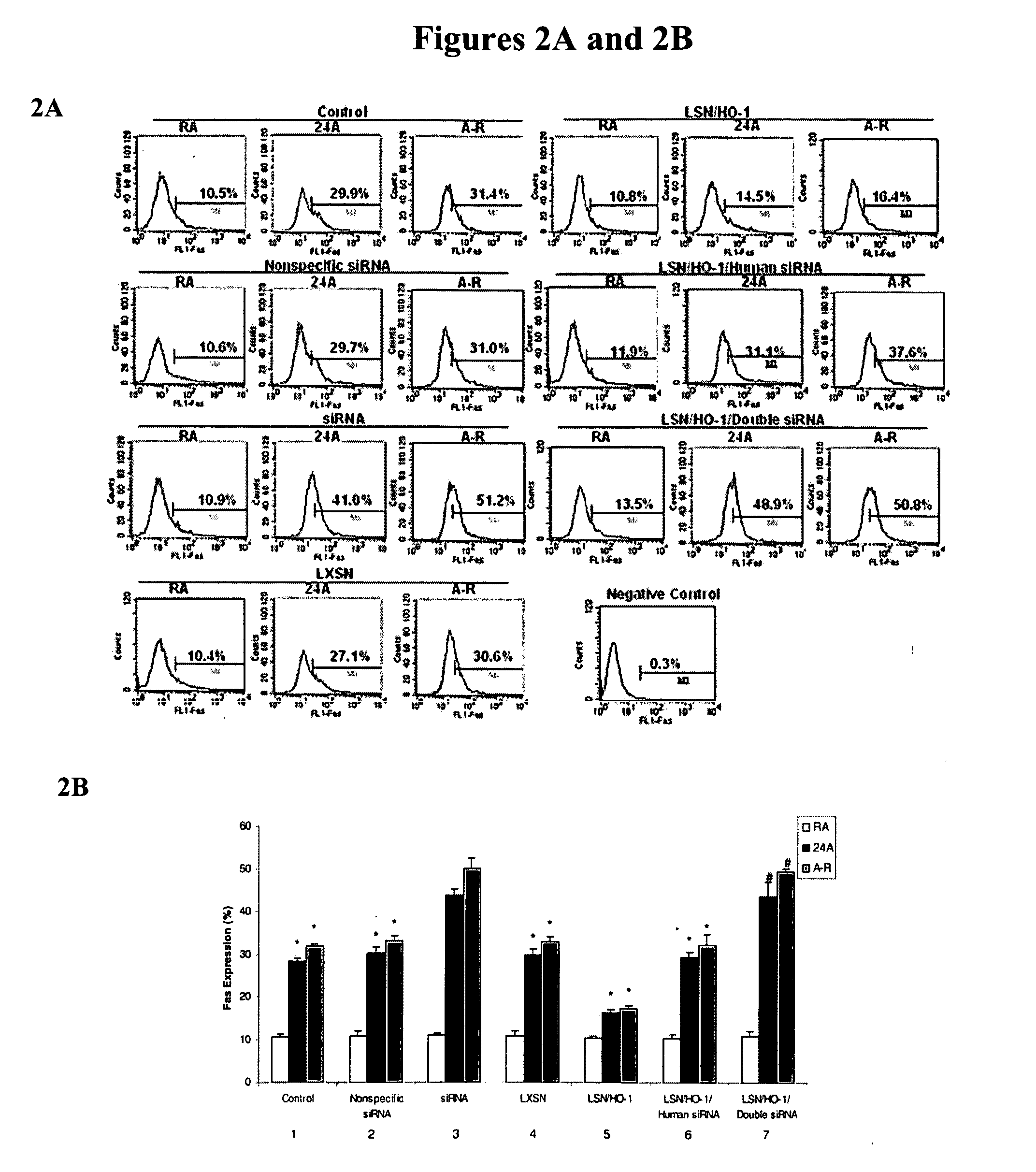 Intranasal delivery of nucleic acid molecules