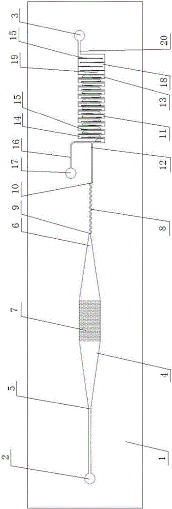 Micro-fluidic chip for cell capture and fluorescent staining