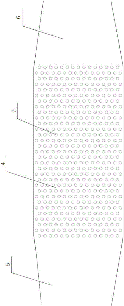 Micro-fluidic chip for cell capture and fluorescent staining