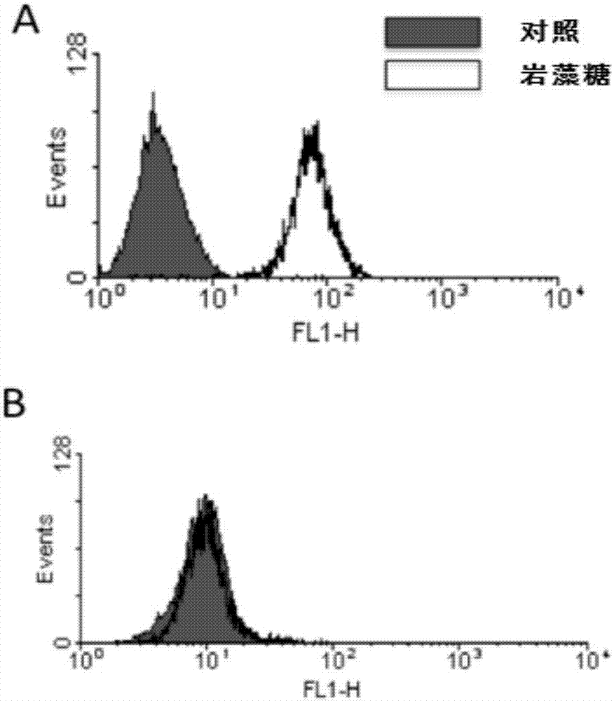 Antibody for resisting human epidermal growth factor receptor 2 (HER2), as well as medical composition and use of antibody