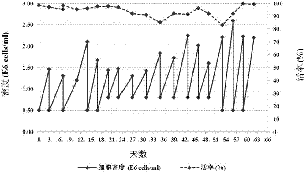 Antibody for resisting human epidermal growth factor receptor 2 (HER2), as well as medical composition and use of antibody