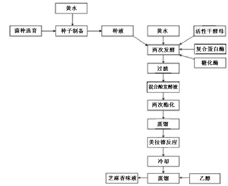 Technology for preparing sesame flavor liquid through yellow water