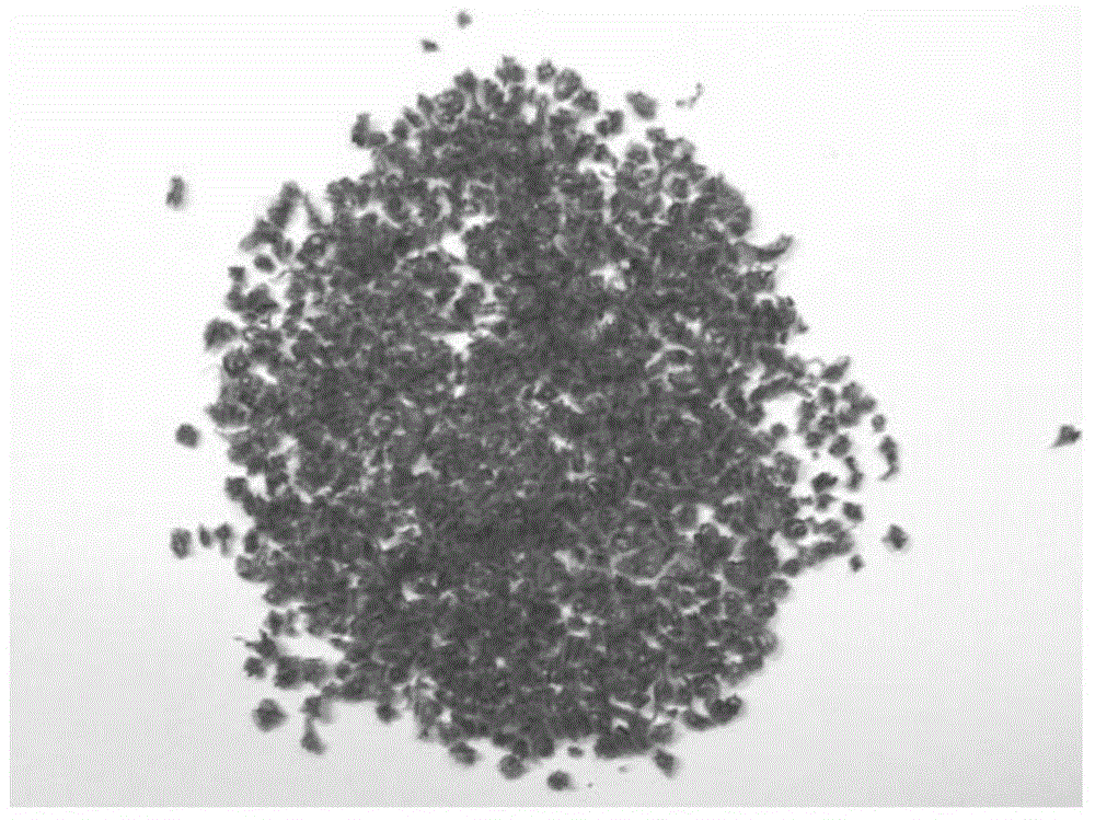 Truffle microcapsule and preparation method and application thereof