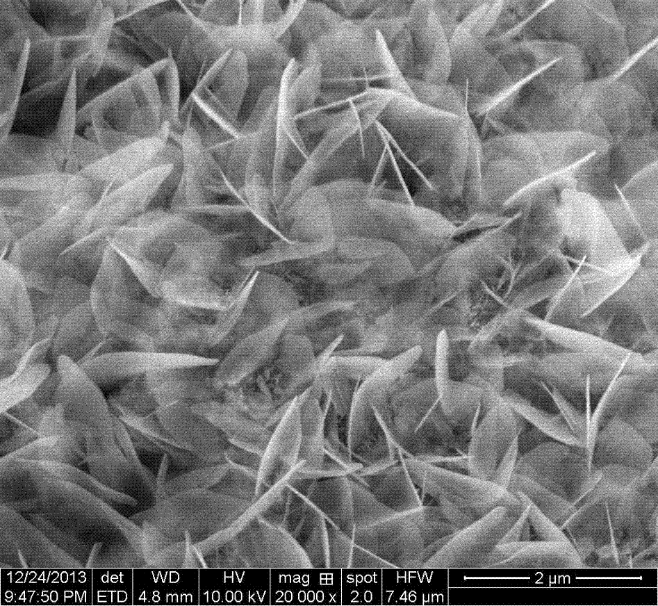 Method for in-situ growth of two-dimensional lamellar structured nano-zinc oxide on ceramic tube