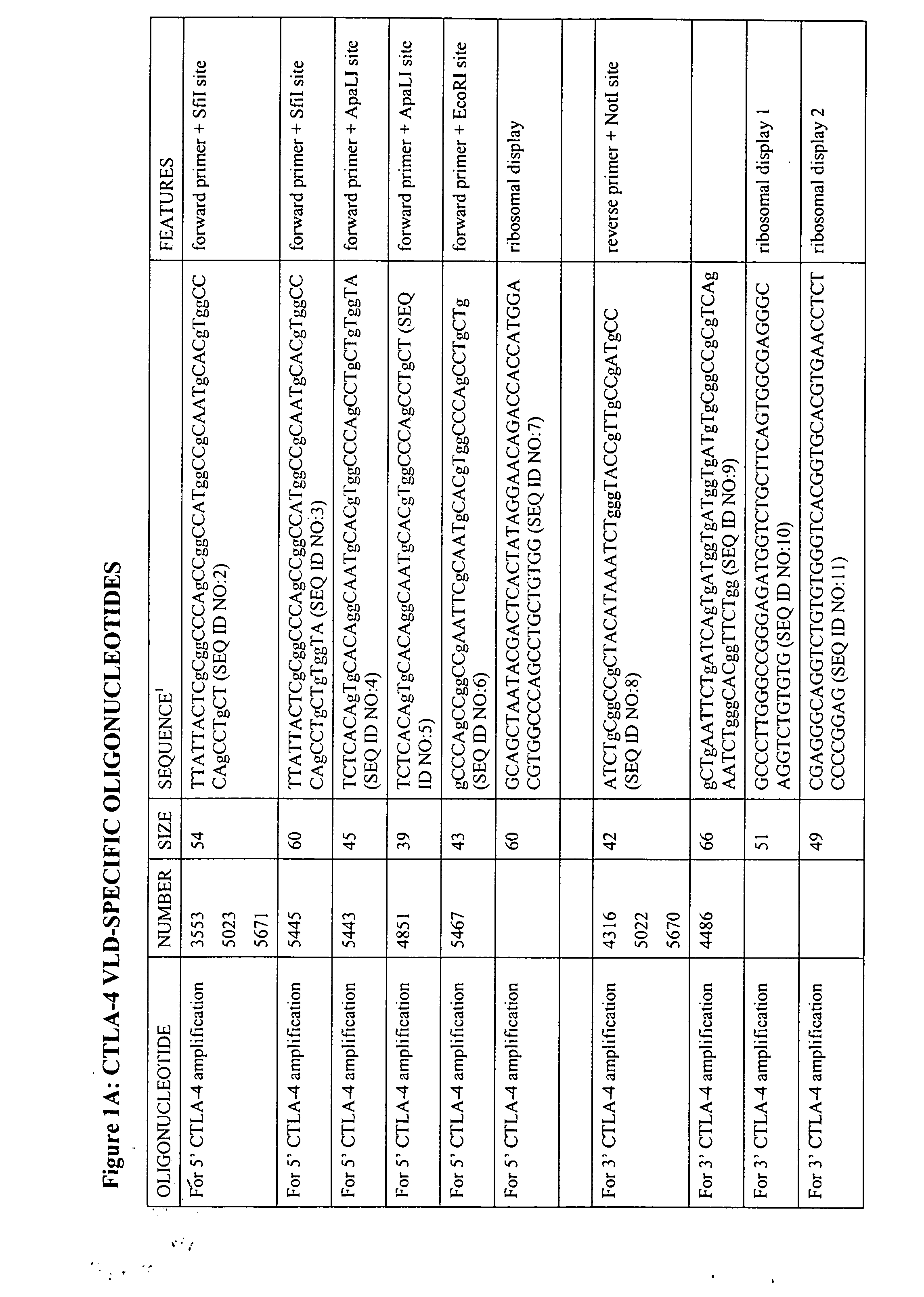 V-like domain binding molecules