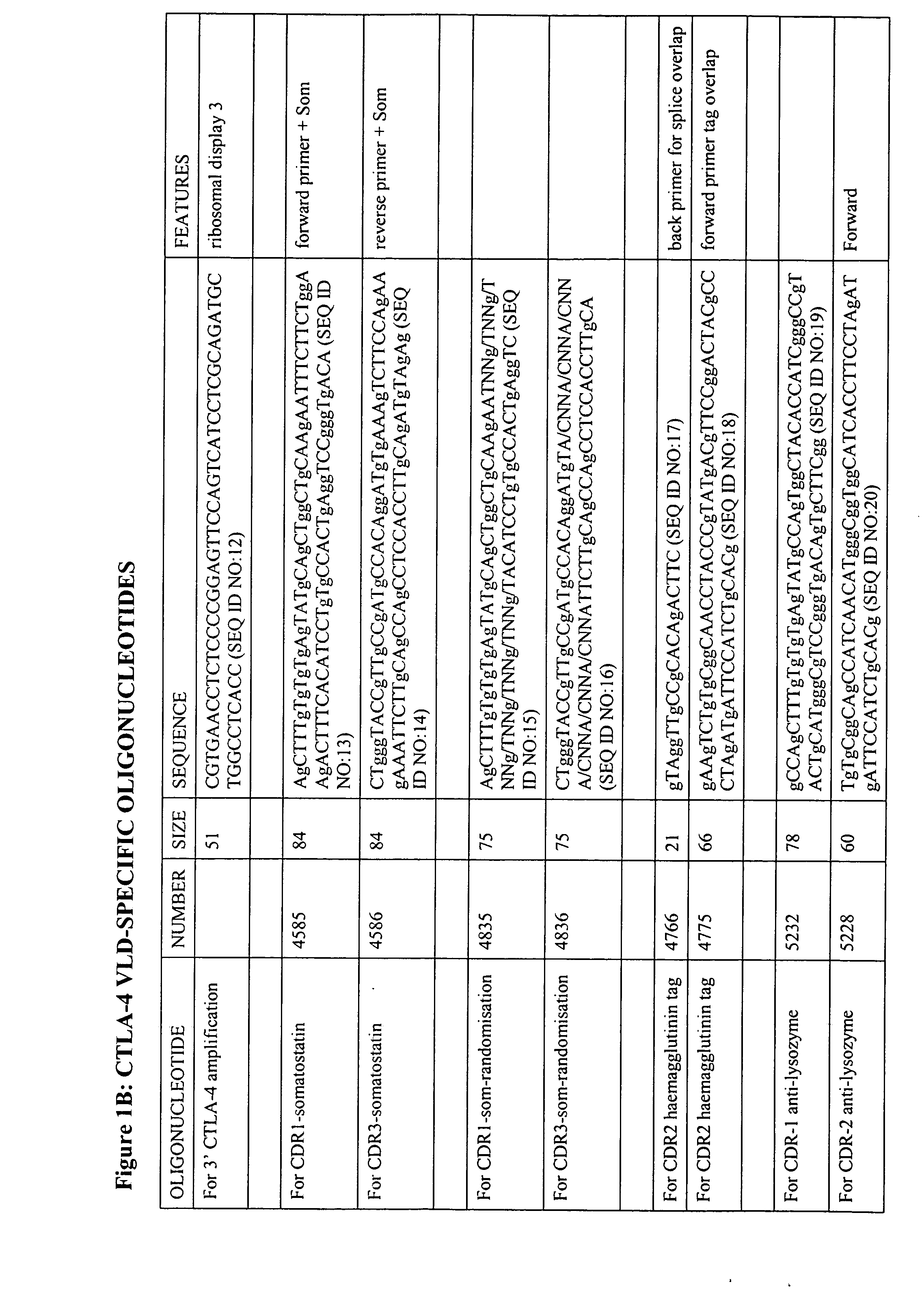 V-like domain binding molecules