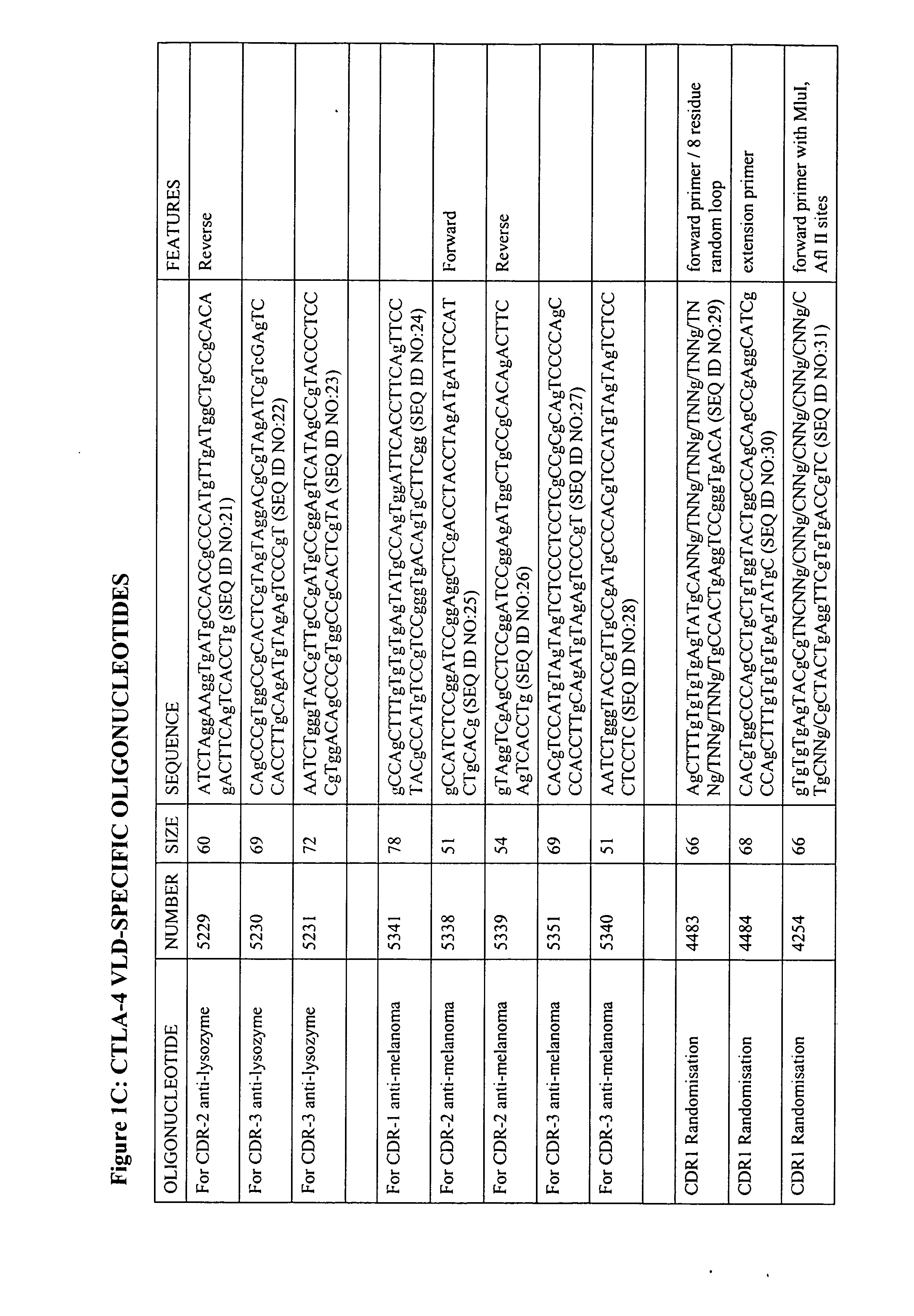 V-like domain binding molecules