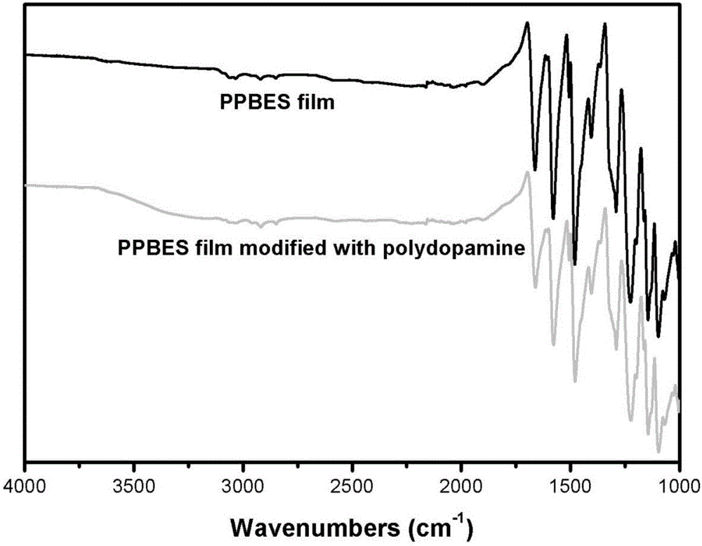 Poly(phthalazinone ether) provided with composite coating on surface and preparation method of poly(phthalazinone ether)