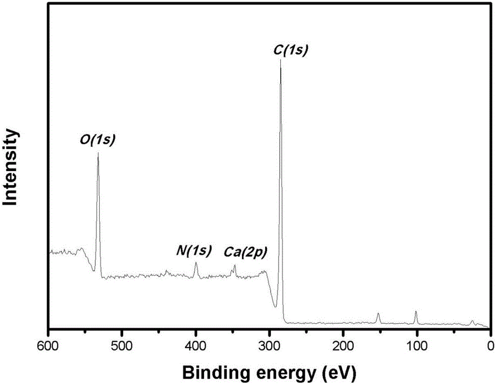 Poly(phthalazinone ether) provided with composite coating on surface and preparation method of poly(phthalazinone ether)