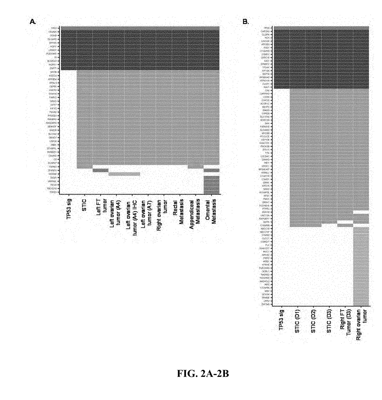 Ovarian carcinoma detection and prophylaxis