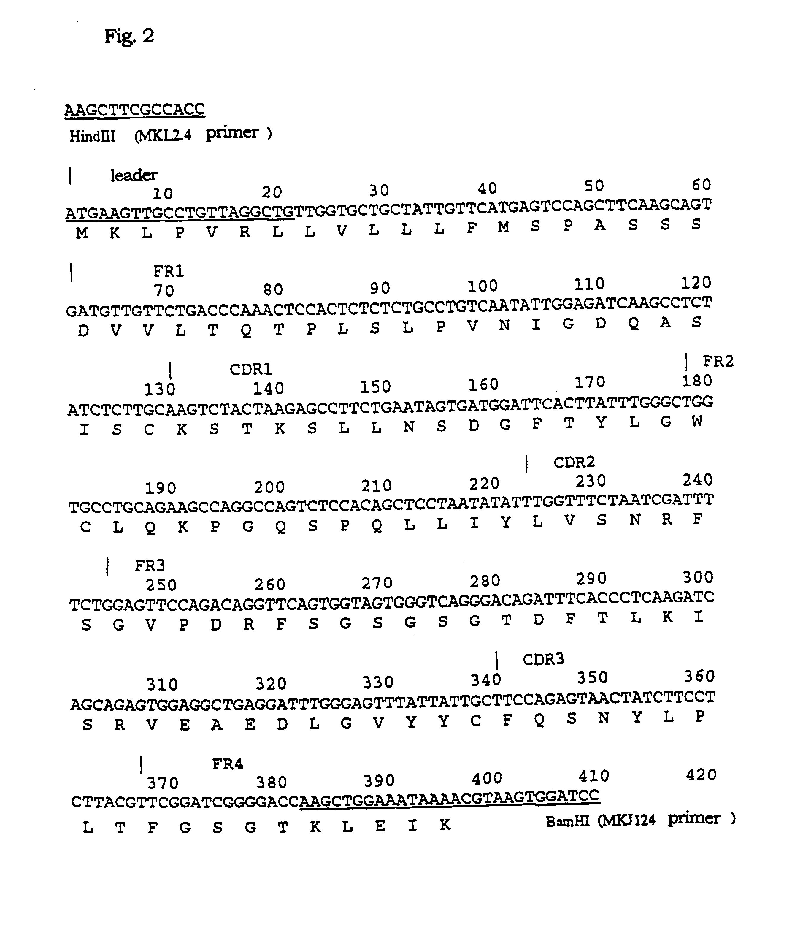 Humanized immunoglobulin reacting specifically with Fas ligand or active fragments thereof and region inducing apoptosis originating in Fas ligand