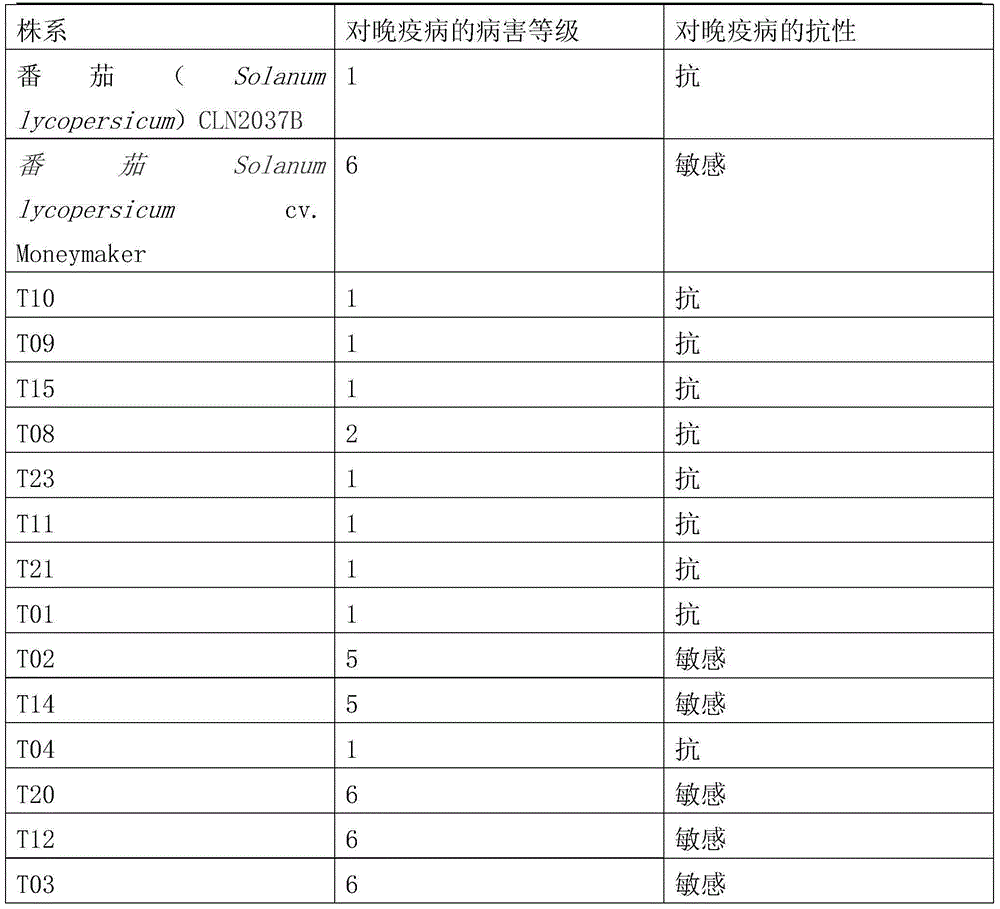 Late blight resistance related protein, and related biomaterial and application thereof