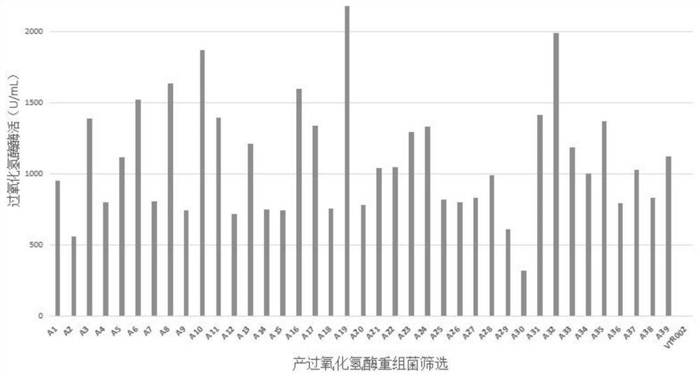 Catalase with high enzyme activity, gene, recombinant strain with high catalase yield and application