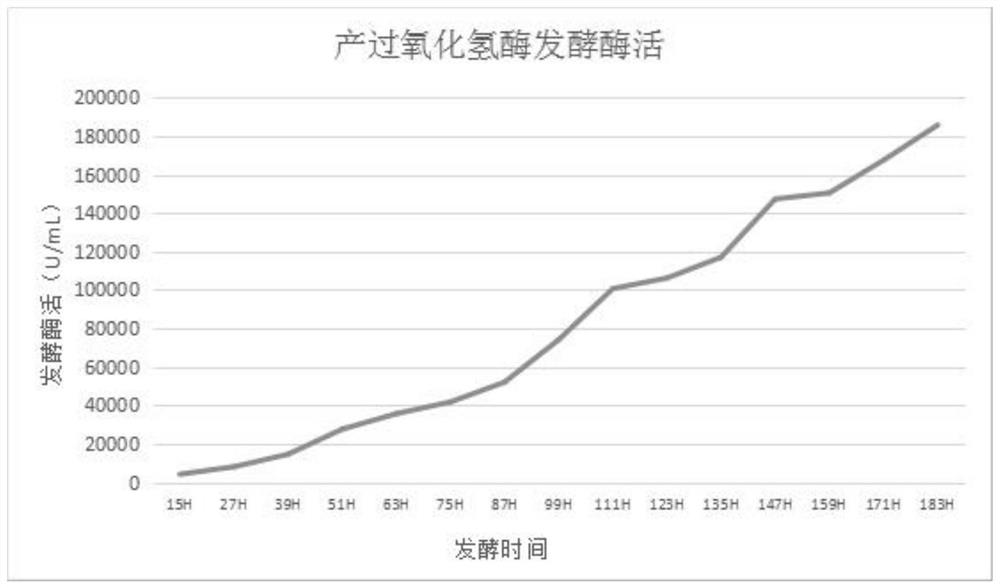 Catalase with high enzyme activity, gene, recombinant strain with high catalase yield and application