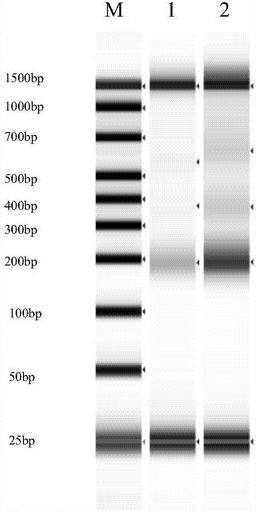 Kit for detecting benign or malignant pulmonary nodules and application thereof