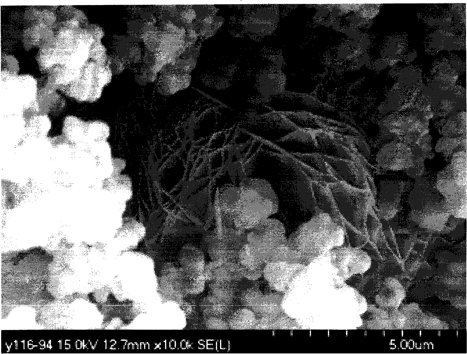 Ceramic aerogel and method for preparing the ceramic aerogel by gel injection moulding