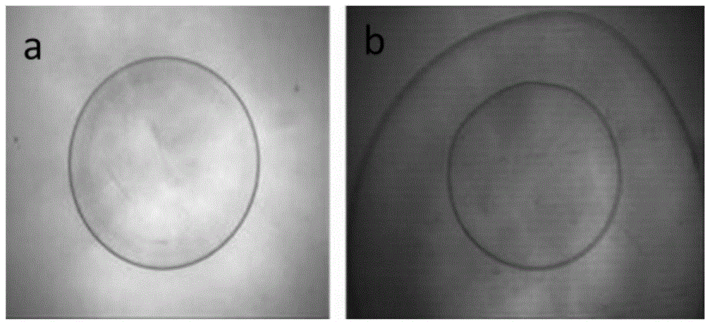 Method for preparing natural polymer double-layer microcapsule through adoption of gas-liquid micro-channel