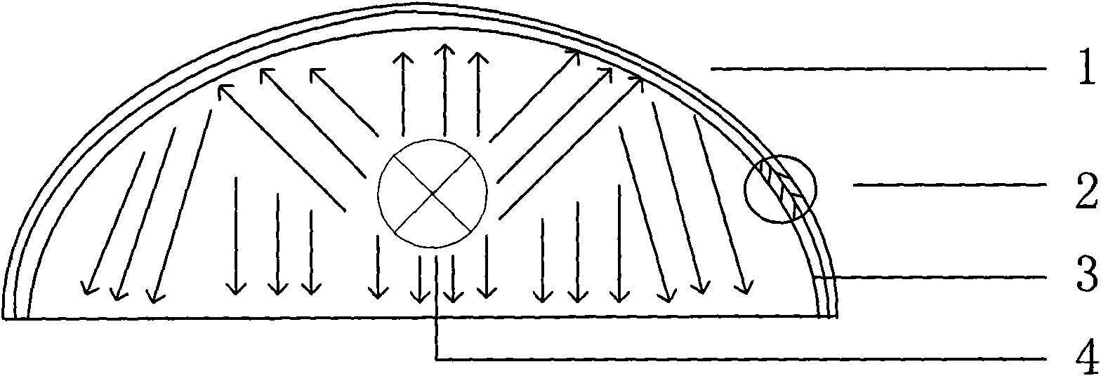 Back coating type glass reflector