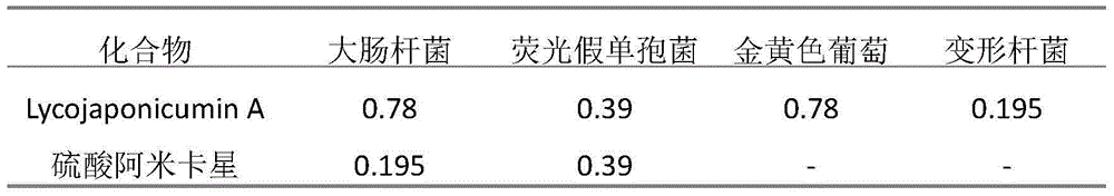 Application of lycojaponicumin A in the preparation of antibacterial drugs