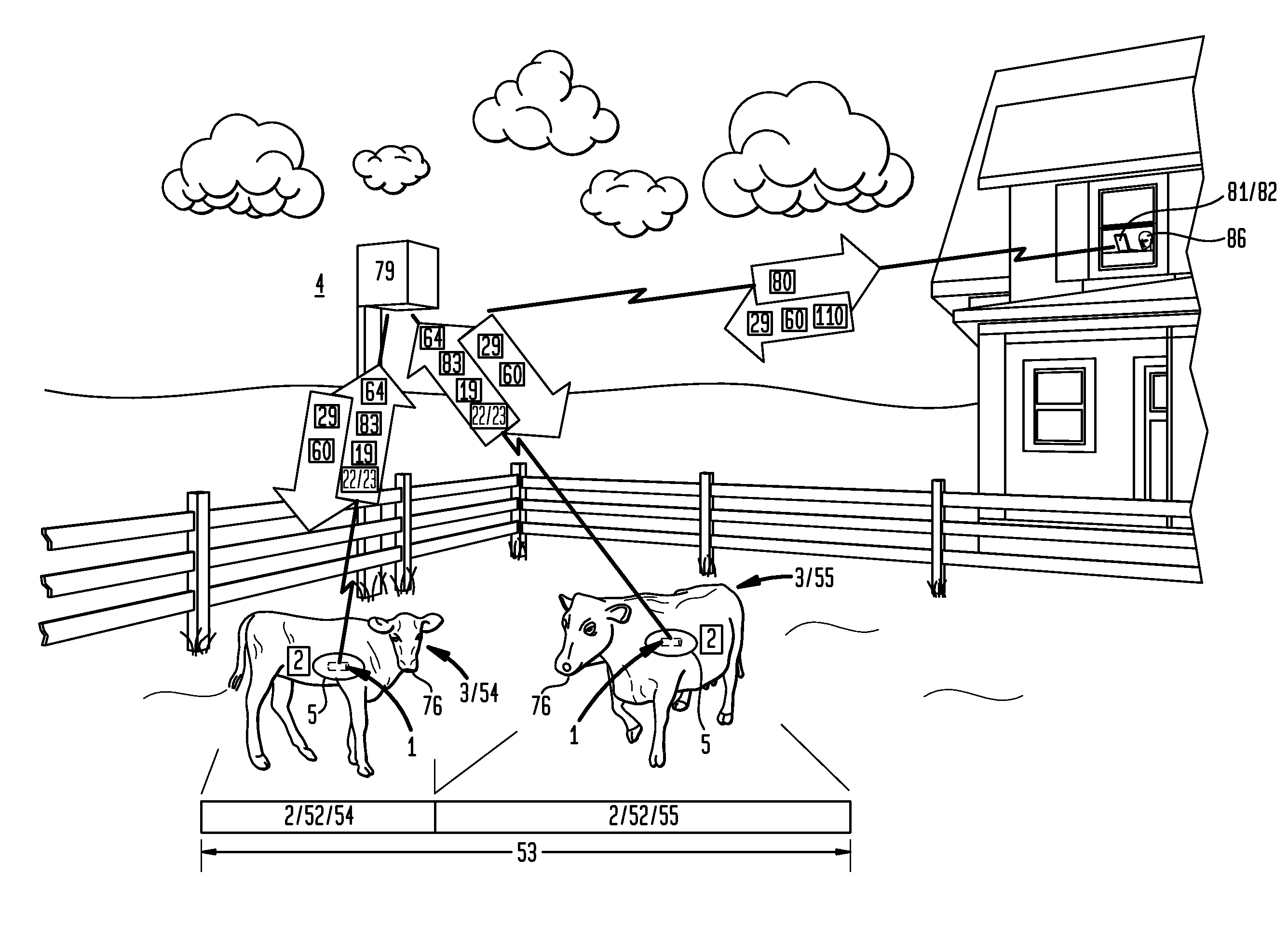 Calf Bolus