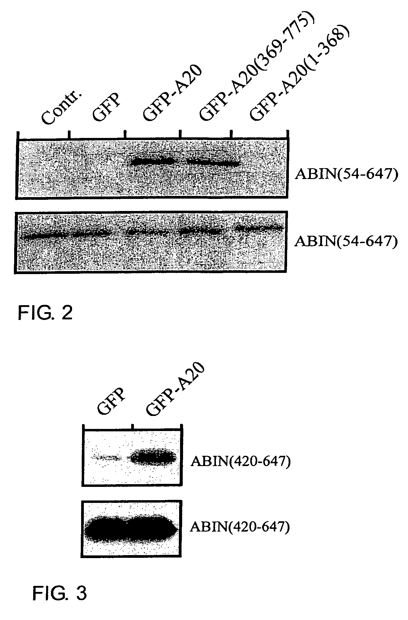 Inhibitors of NF-kappaB activation