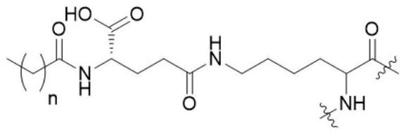 GLP-1/cholecystokin-1 receptor dual agonist and application thereof