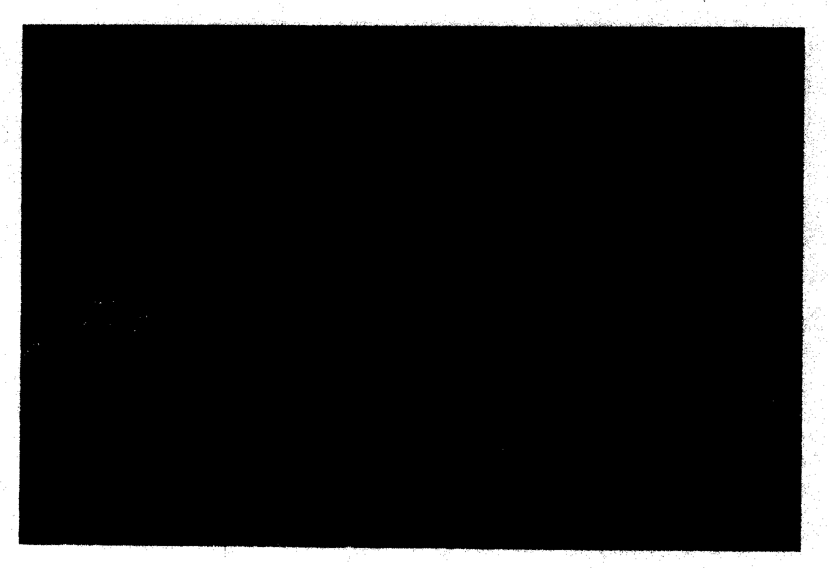 Synthetic fiber containing powders with the shape of hollow sphere