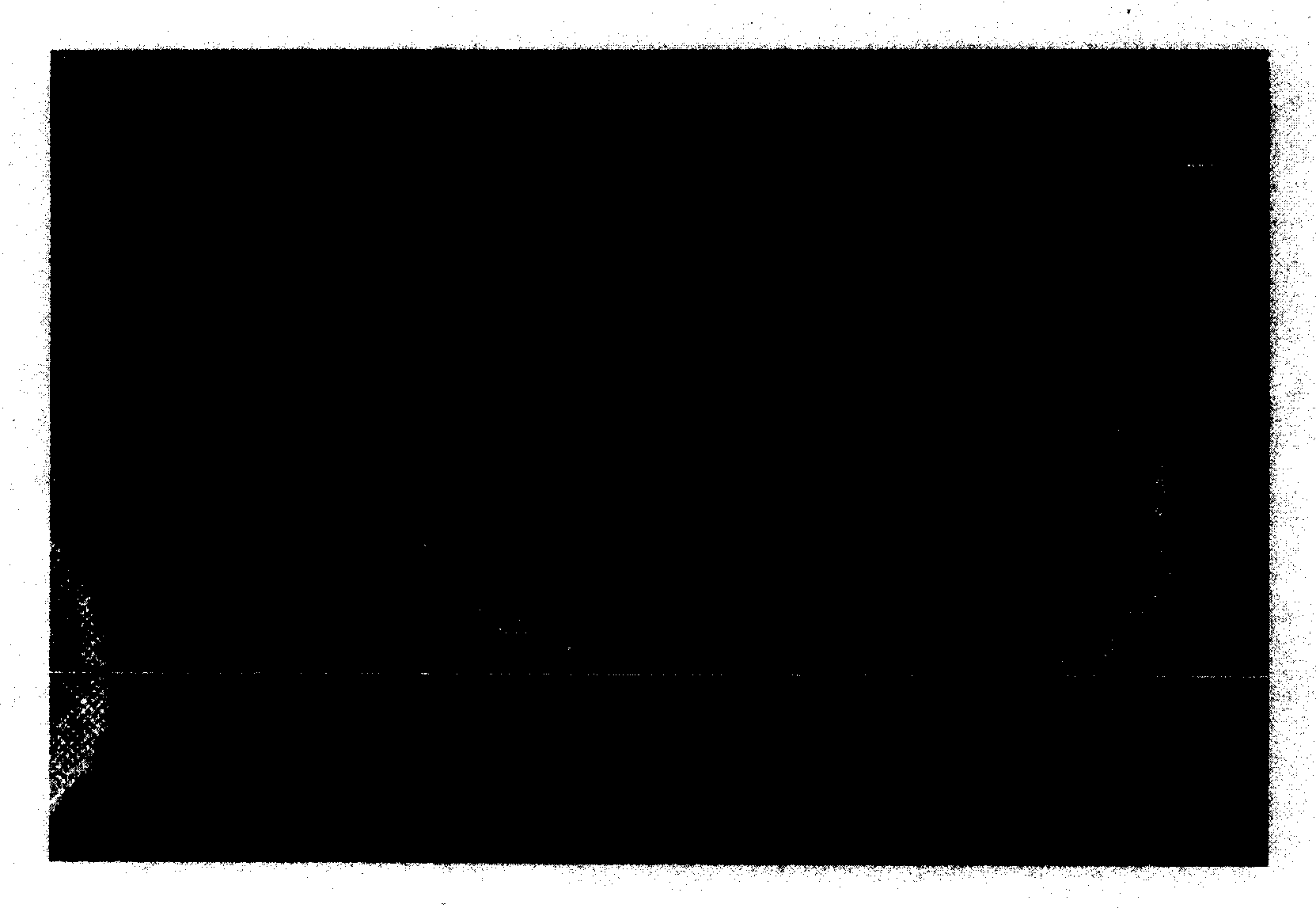 Synthetic fiber containing powders with the shape of hollow sphere